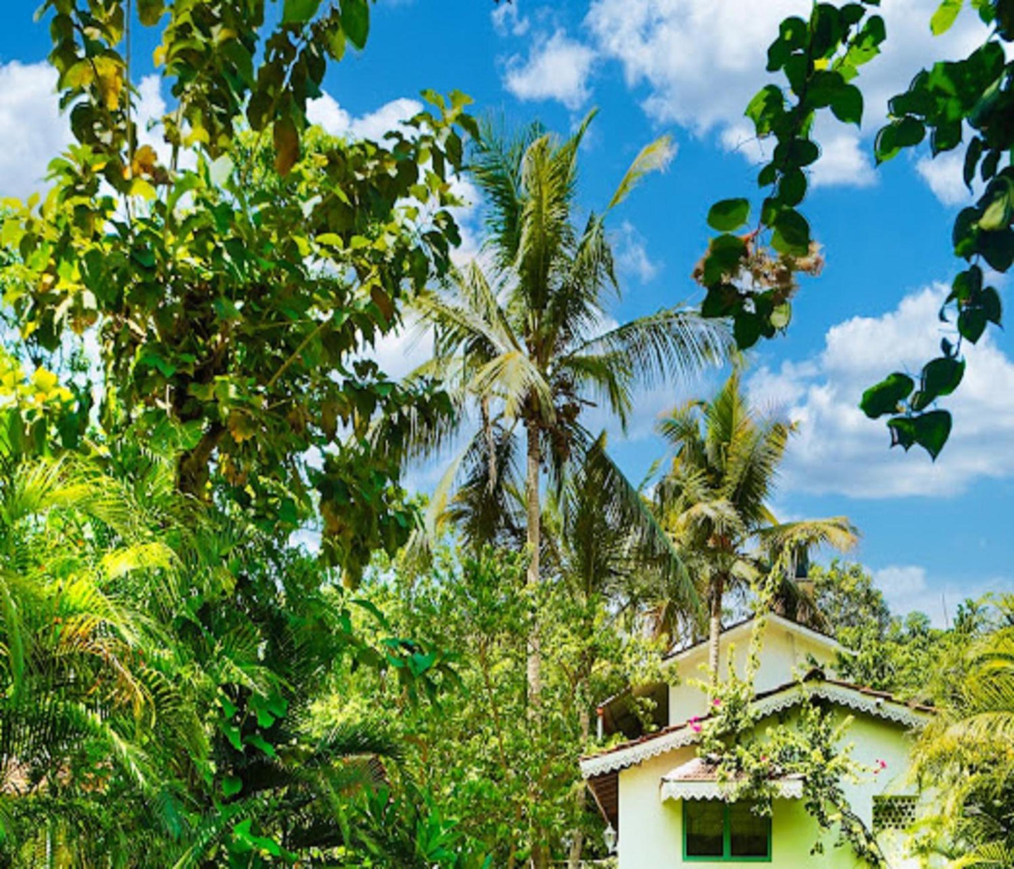 Lar Amorosa Boutique Hotel - Goa Calangute Eksteriør bilde